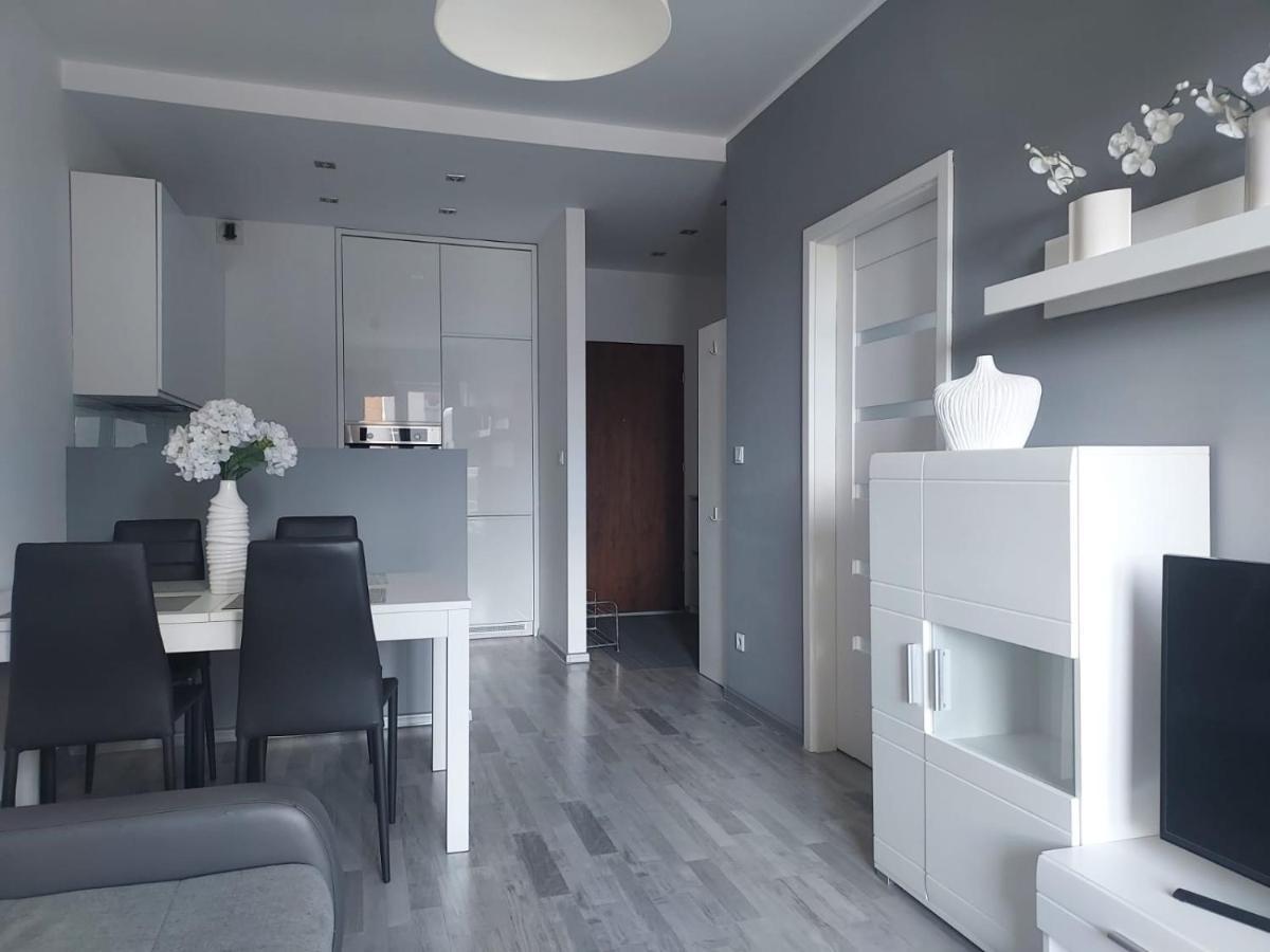 Modern Apartment - Francuska Park カトヴィツェ エクステリア 写真