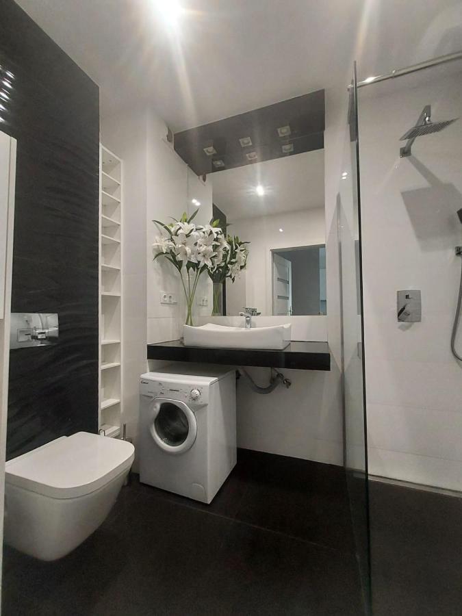 Modern Apartment - Francuska Park カトヴィツェ エクステリア 写真